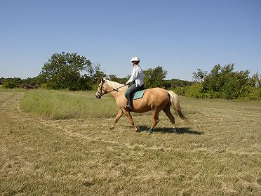in the field