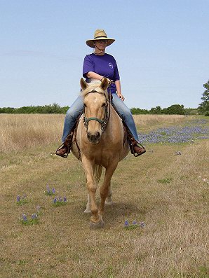 trail horse