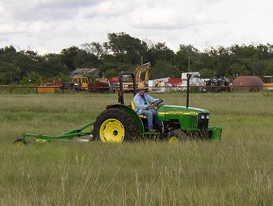 Elizabeth in field